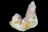 Cactus Quartz (Amethyst) Crystal Cluster - South Africa #134335-1